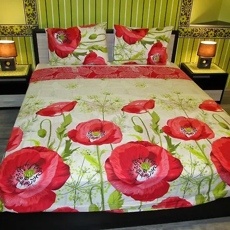 Lejlighed Vasil Levski