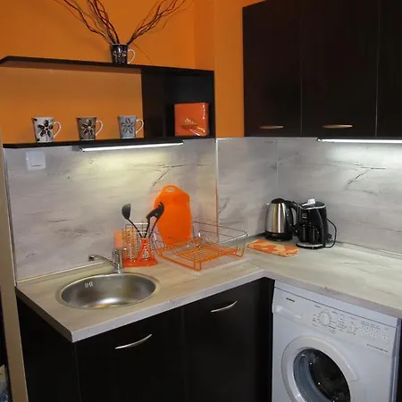 Apartment Vasil Levski *