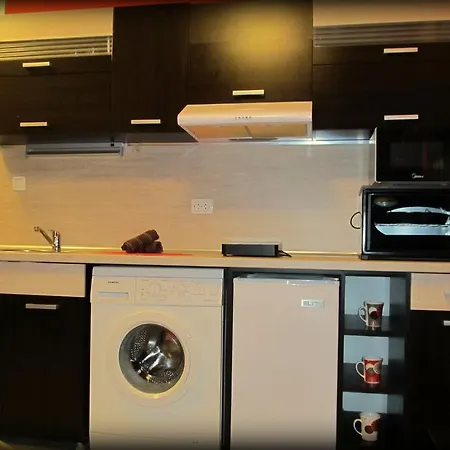 Апартамент Vasil Levski *