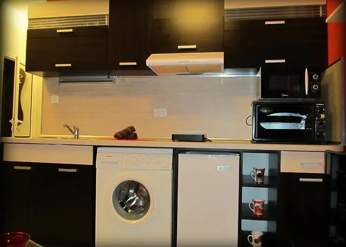 Apartment Vasil Levski *